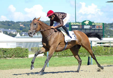 Actualités Hippiques